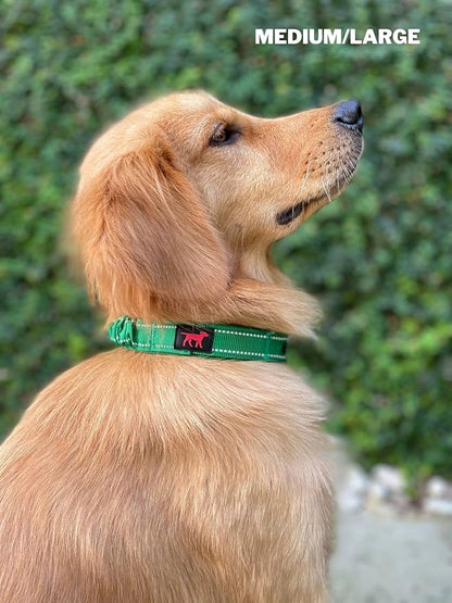 Heavy Duty Dog Collar With Handle | Ballistic Nylon Heavy Duty Collar | Padded Reflective Dog Collar With Adjustable Stainless Steel Hardware | Convenient Sizing for All Breeds