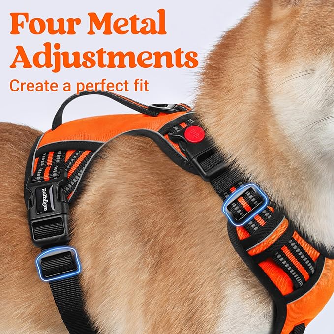rabbitgoo Dog Harness Small Sized Dog, No Pull Pet Harness with Soft Padded Handle, Adjustable Reflective Vest with 3 Buckles, Easy Walking Harness with 2 Leash Clips, Orange, S