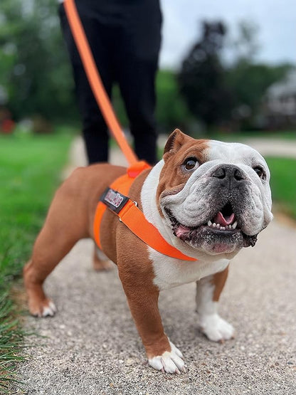 BULLHUG Adjustable Dog Harness– No Pull, No Choke – for English Bulldogs, French Bulldogs, Pugs & Broad-Chested Breeds – Easy, Safe Walks (NEON Orange, Small)