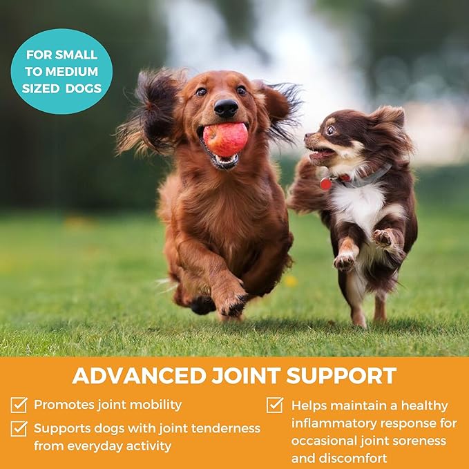 Progility Mini Hip & Joint Supplement for Small to Medium Dogs – Daily Mobility & Joint Support with Glucosamine, Chondroitin & MSM, Soft Chews (60 Count)