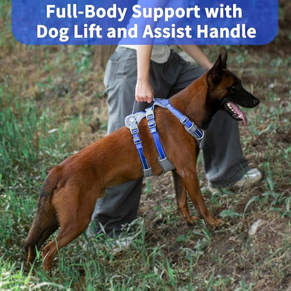 Huntboo Reflective Dog Harness with Handle, Escape Proof, No Slip, Breathable, Lightweight, Adjustable Lift Harness for Small, Medium, and Large Dogs Walking, Training, and Running Gear(Sea Blue,M)