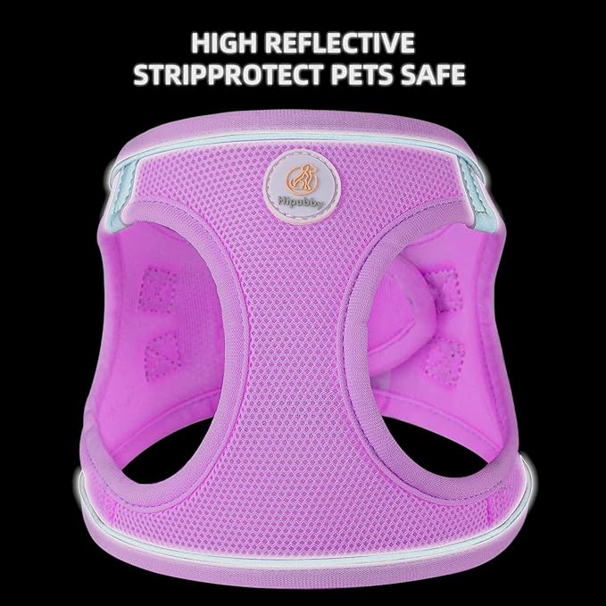 Hipubby Dog Harness and Leash Set, No Pull Soft Mesh Puppy Harness for Small Medium Dogs, Cats - Step in Reflective Breathable Lightweight Vest Harness for Walking, Training - Purple, S