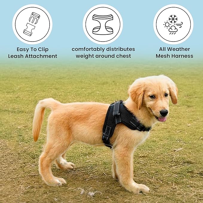 No Pull Reflective Adjustable Dog Harness With Handle- Comfortable Soft All Weather Mesh, Easy On Puppy Harness For Small Medium and Large Dogs (Black) X-Large
