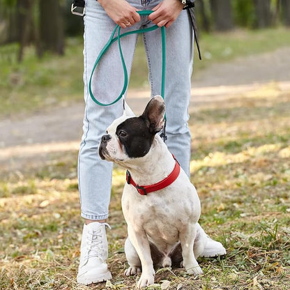 Dogline Biothane Waterproof Dog Leash Strong Coated Nylon Webbing with Black Hardware Odor-Proof Easy to Clean High Performance for Small or Large Dogs Made in USA 4 or 6 ft Lead, Blue Aqua