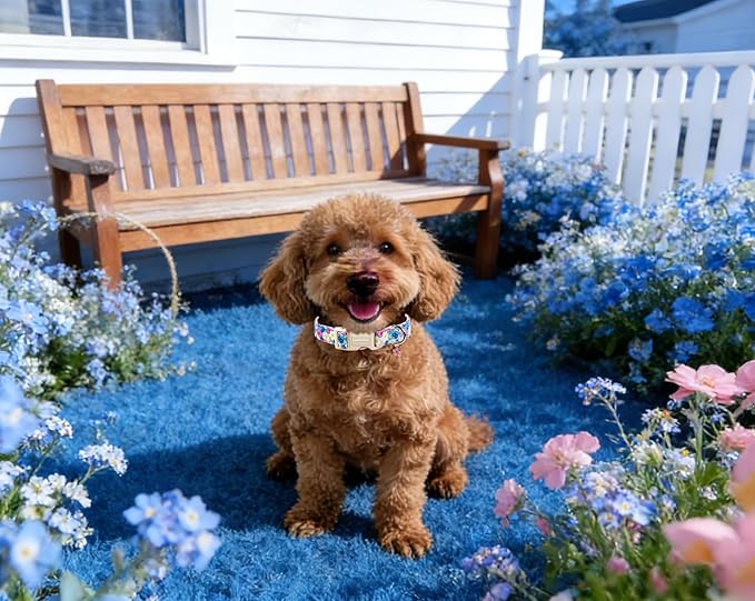 Lionet Paws Floral Dog Collar- Cute Spring Wildflowers Daisy Forget Me Not Dog Collars with Plastic Buckle, Light Adjustable Dog Collars for Medium Dogs