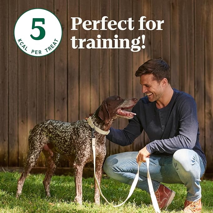 Nutro Crunchy Dog Treats with Real Peanut Butter, 10 oz. Bag