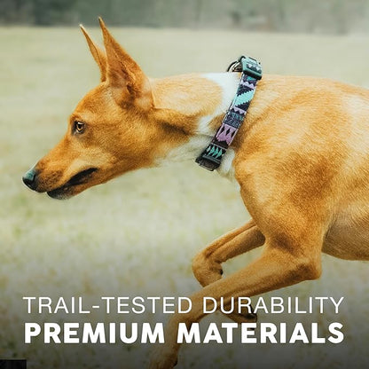 Embark Adventure Dog Collar – Stylish & Durable Nylon Dog Collars for Small Dogs, Comfortable Pet Collar, Small Dog Collars for Male & Female Dogs with Strong Buckles. Adjustable Small Dog Collars