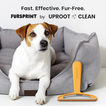 Pro Pet Hair Removal Tool – Dog & Cat Hair Scraper for Carpet, Couch, and Car – Reusable Carpet Hair Removal Tool & Fur Scraper for Upholstery, Rugs, Furniture, and Car Interiors