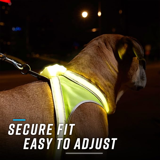 Noxgear LightHound (Small) + High-Visibility Dog Leash – Illuminated and Reflective Harness for Dogs Including Multicolored LED Fiber Optics (USB Rechargeable, Adjustable, Lightweight, Rainproof)