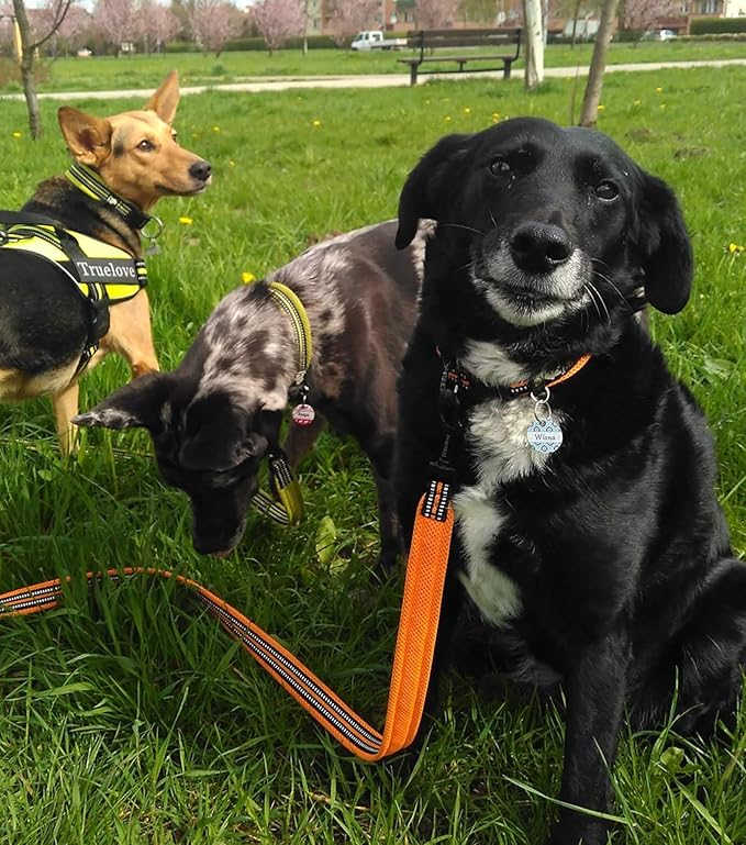 TRUE LOVE Reflective Dog Leash Puppy Walking Lead, Padded Pet Chain Rope，Length 110cm Truelove TLL2111(Orange,L)