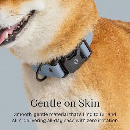 2026 New Edition, Fei & Eve PVC MagEase Dog Collar - Patented Magnetic Buckles | Fur-Safe | 450LB Escape-Proof | Adjustable Fit | Large (Dusk Blue)