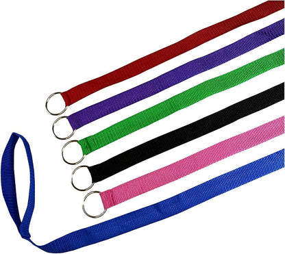 Downtown Pet Supply - 6ft Dog Kennel Slip Lead - Veterinarian, Grooming, Daycare & Rescue Supplies - One Size Leads for Dogs - 1" Thick 6 Pack