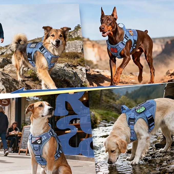 rabbitgoo Tactical Dog Harness Medium Sized, No Pull Upgraded Reflective Heavy Duty Molle Vest with Handle, Adjustable Military Service Dog Vest for Walking Hiking Training, Blue, M