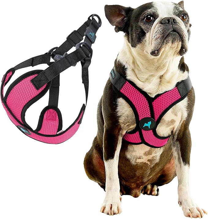 Gooby Comfort X Step in Lite Dog Harness - Choke Free, Escape Free with Light Breathable Mesh - Step in Dog Harness for Small Dogs Only - Quick Release Buckle, Metal D-Rings - Flamingo Pink, Small