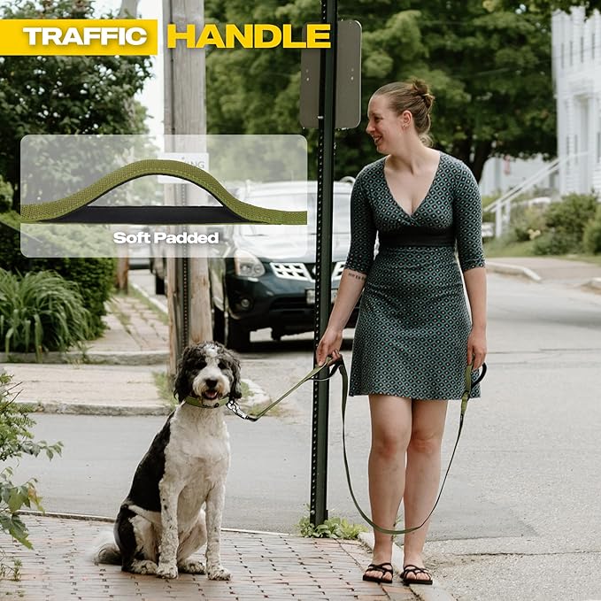 Fida 10ft Heavy Duty Dog Leash with 2 Comfortable Padded Handles, Traffic Handle & Advanced Easy Snap Hook, Reflective Walking Lead for Large, Medium & Small Breed Dogs, Green