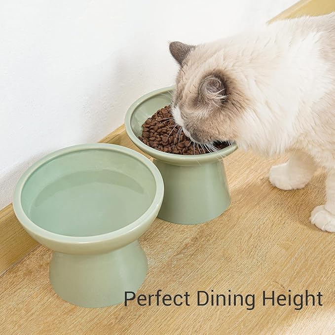 CEEFU 2 Elevated Ceramic Cat Bowls Extra Wide for Food & Water – Whisker Fatigue Shallow Food Dish, Lead & Cadmium-Free, Raised Height for Cats, Sage Green