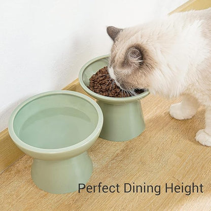 CEEFU 2 Elevated Ceramic Cat Bowls Extra Wide for Food & Water – Whisker Fatigue Shallow Food Dish, Lead & Cadmium-Free, Raised Height for Cats, Sage Green
