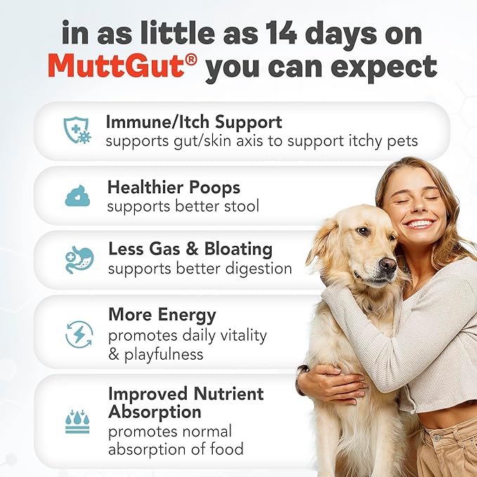 All Natural 3 in 1 Probiotics for Dogs-Postbiotic Powder Supplement-Made in USA- Digestive Enzymes Made with 135 Billion CFUs, Plant-Based Anti-Diarrhea & Antioxidant Dogs Probiotic(120g)