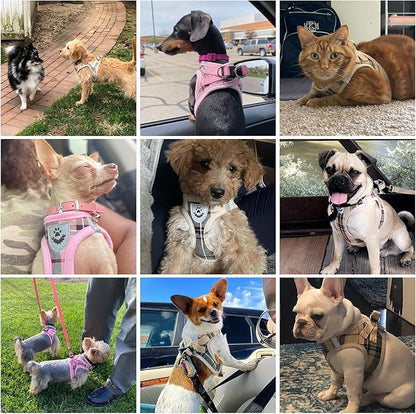 KOOLTAIL Dog Harness and Leash Set for Small Medium Dogs, Step in No Pull Soft Mesh Dog Harness Comfort Padded Pet Vest, Adjustable Reflective Easy Walking Puppy Cats Harnesses Training, Plaid Beige M
