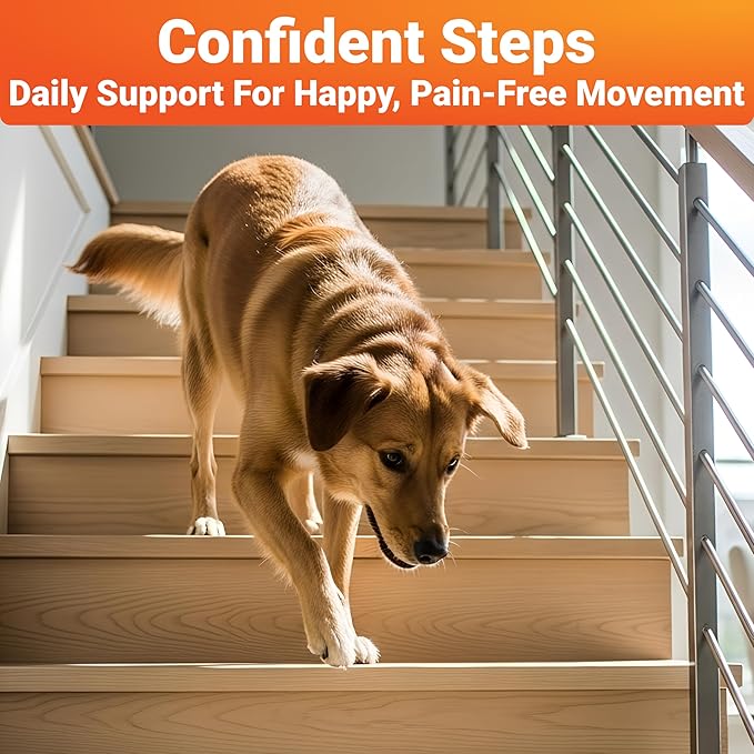 WuffWell Hip and Joint Supplement for Dogs – Natural Ingredients with Chondroitin, MSM, Turmeric, and Glucosamine – Supports Hip Dysplasia, Arthritis, and Mobility – 140 Count, Made in USA