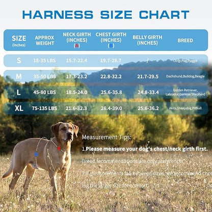 Small Dog Harness, Heavy Duty Tactical No Pull Dog Harness, No Choke, Easy On and Off Pet Vest with Molle System, Adjustable Reflective Dog Vest with Breathable Padded for Walking Hiking Training