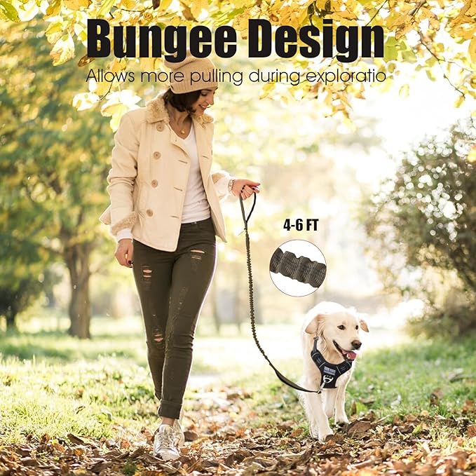 BUMBIN 6Ft Dog Leash, Bungee Dog Leash with 2 Handles, Heavy Duty Leashes for Medium Small Dogs, No Pull Shock Absorbing with Car Seat Belt for Training, Green