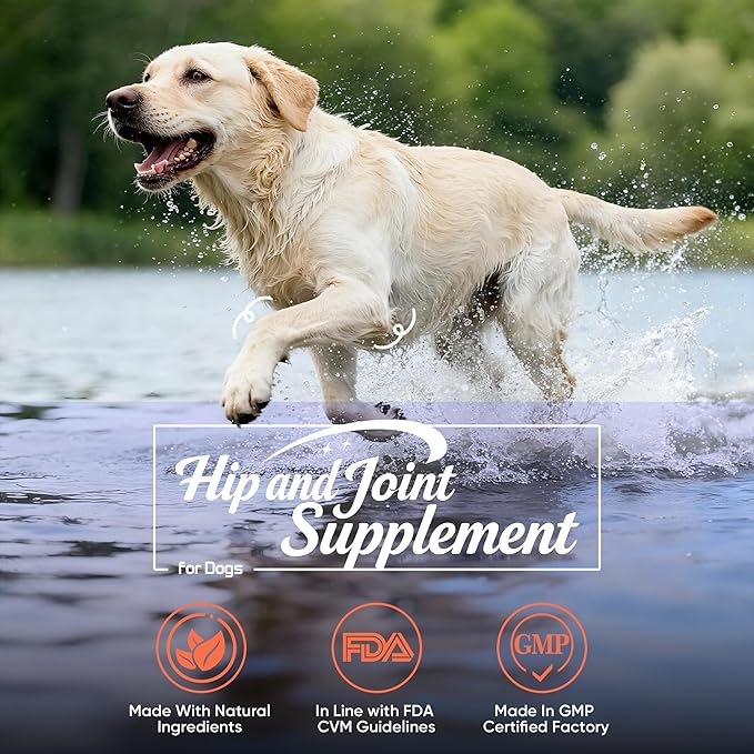 Hip and Joint Supplement Powder for Dogs Glucosamine for Dogs, Dog Arthritis Vitamins for Hip and Joint Pain Relief Contains Glucosamine Chondroitin MSM Vitamin E for All Breeds and Sizes