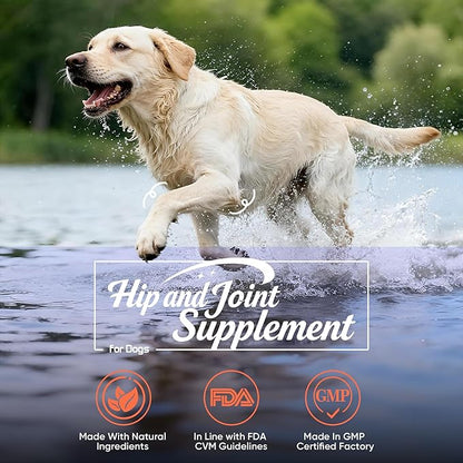 Hip and Joint Supplement Powder for Dogs Glucosamine for Dogs, Dog Arthritis Vitamins for Hip and Joint Pain Relief Contains Glucosamine Chondroitin MSM Vitamin E for All Breeds and Sizes