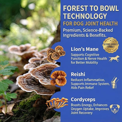 Fifth & Fido Joint Supplement for Dogs - Glucosamine for Dogs - Pet Vitamins and Supplements Powder with Chondroitin & MSM - Hip & Joint Support for Mobility, Stiffness & Flexibility - Mushroom Blend