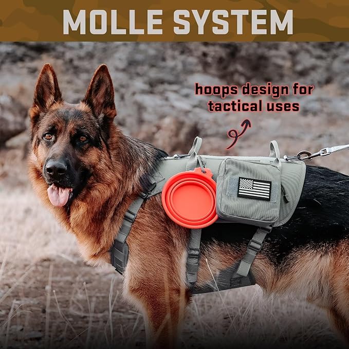 Forestpaw Tactical Dog Harness for Large Dogs,Tactical Dog Collar with Bungee Leash Set,No Pull Military Dog Harness for Walking Training,Adjustable for Medium Large Dogs,Gray,Chest 19.5-41.5"