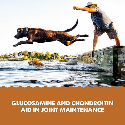 Grizzly Pet Products Joint Aid Liquid Hip and Joint Health Supplement Product for Dogs and Cats, 32 Ounce