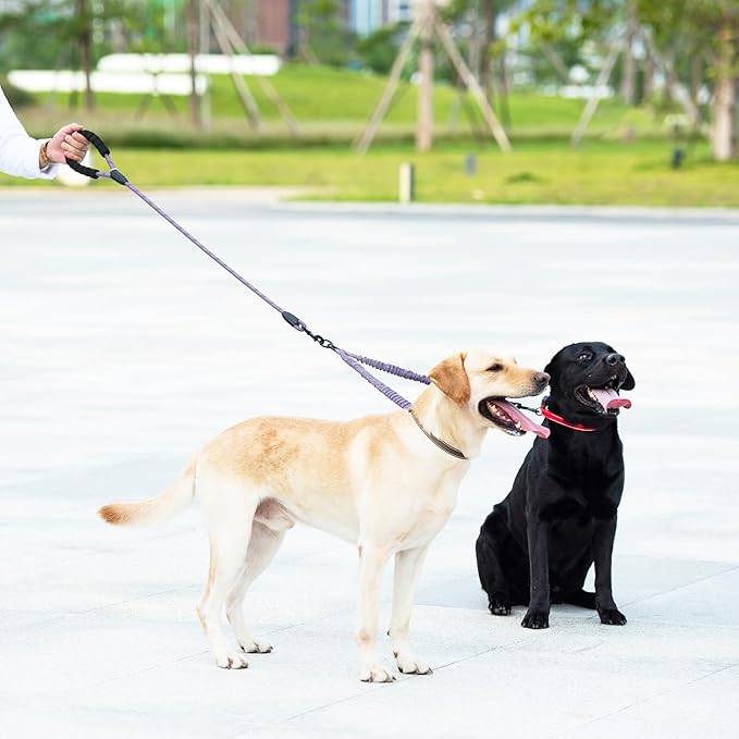 iYoShop Dual Dog Leash - 360° Swivel, No Tangle Walking Leash with Shock Absorbing Bungee for Two Dogs (Large, 25-150 lbs, Lavender)