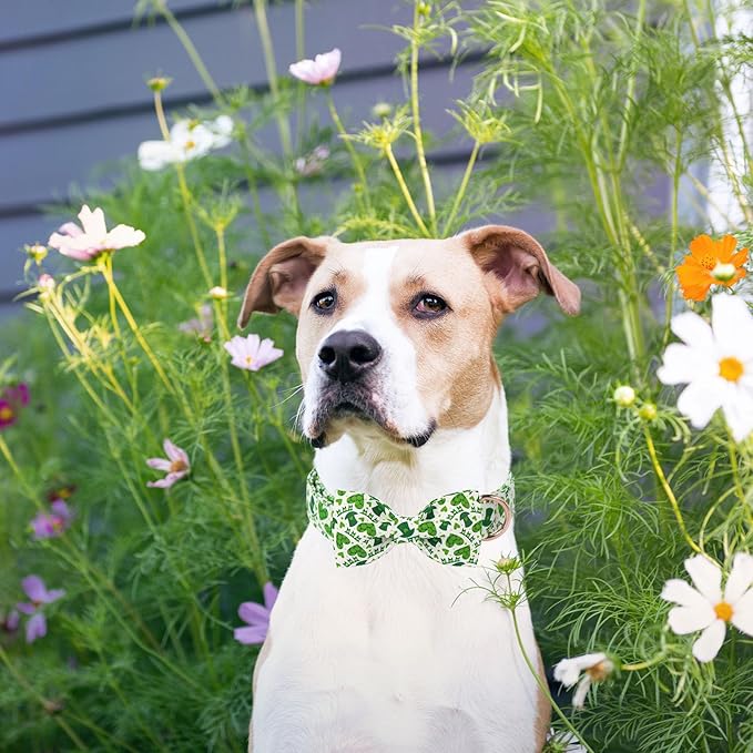 Unique Style Paws St. Patrick's Dog Collar with Bow Lucky Magic Hat Cotton Puppy Collars Navigation Wedding for Small Medium Large Dogs