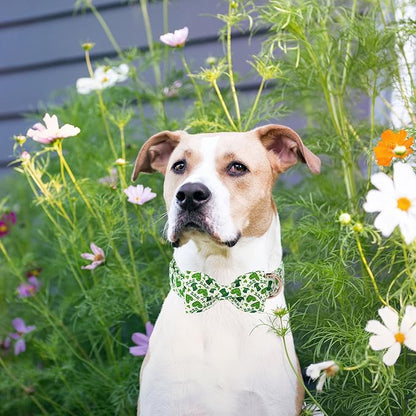 Unique Style Paws St. Patrick's Dog Collar with Bow Lucky Magic Hat Cotton Puppy Collars Navigation Wedding for Small Medium Large Dogs