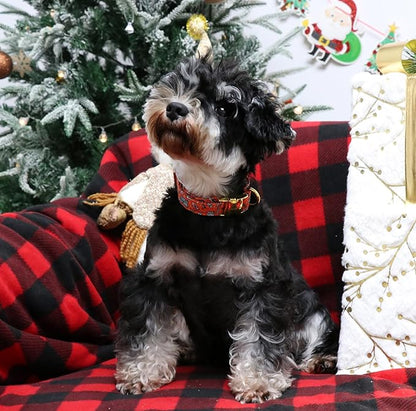 Unique style paws Dog Collar Metal Buckle Puppy Collar for Winter Christmas for Small Medium Large Boys Girls Dogs