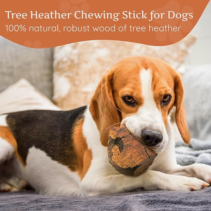 Wildfang® Briar Wood Chewing Root, Medium - Splinter Free Wood Dog Chew Toys for Aggressive Chewer, Odorless Natural Teething Toys Dogs Dental Health, Healthy Gums (for Dogs 33-55 lbs), Pack of 3