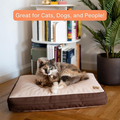 Rawry Orthopedic Dog Bed | Memory Foam Dog Bed with Handle | Water-Resistant, Machine Washable Cover | Floor Cushion for Cats, Dogs & People - Tan/Brown (Small - 24" x 18")