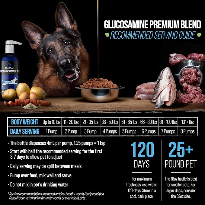 Best Paw Nutrition - Unflavored Liquid Glucosamine for Dogs & Cats - Chondroitin, MSM, Hyaluronic Acid - Dog Arthritis Home Remedy - Joint Supplement for Hip & Joint Pain Relief Pets Love - 16oz