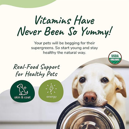 kin+kind Skin and Coat Supplement for Dogs & Cats – Natural Vitamin Supplements with Organic Ingredients for Shiny Fur, Moisturized Skin & Overall Pet Wellness – Dog Essentials & Cat Essentials – 8oz