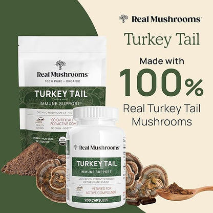 Real Mushrooms Turkey Tail Mushroom Powder – Organic Turkey Tail Extract from – for Wellness, Gut Harmony, & Energy Support – Vegan, Non-GMO, No Fillers – 100 Servings Functional Mushroom Supplement