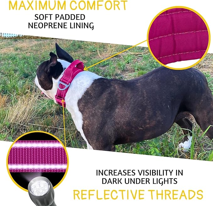 ADITYNA Heavy Duty Dog Collar for Large Dogs - Reflective Magenta Collar with Handle for Training, and Walking - Wide, Thick, Tactical, Soft Neoprene Padded