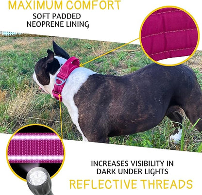 ADITYNA Heavy Duty Dog Collar for Medium Dogs - Reflective Magenta Collar with Handle for Training, and Walking - Wide, Thick, Tactical, Soft Neoprene Padded
