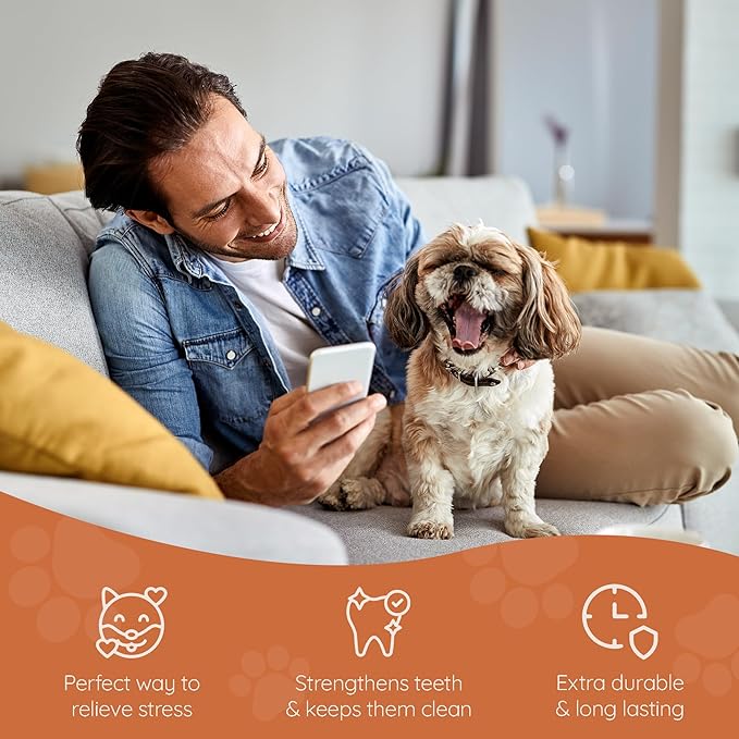 Wildfang® Briar Wood Chewing Root, Small - Splinter Free Wood Dog Chew Toys for Aggressive Chewer, Odorless Natural Teething Toys Dogs Dental Health, Healthy Gums (for Dogs Under 33 lbs), Pack of 3
