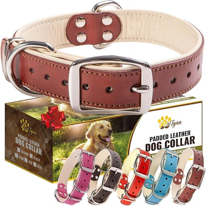 ADITYNA Heavy-Duty Leather Dog Collar for Medium Dogs - Soft Padded for Comfort - Medium Dog Collar for Walking, Training, and Hiking