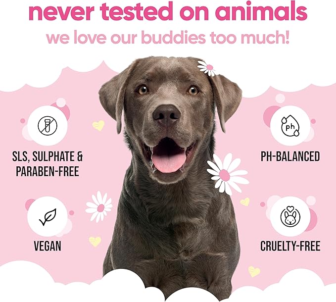 Baby Fresh Dog Shampoo by Buddycare | Deep Cleansing Shampoo for Dogs | Fresh Scented | with Aloe Vera and Pro Vitamin B5 (50.72oz)