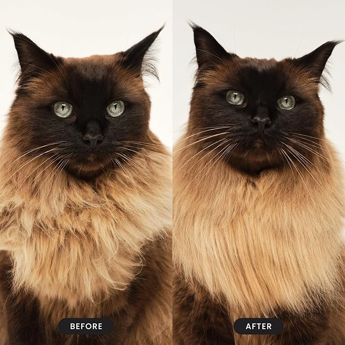 Pet Teezer by Tangle Teezer Cat Brush, De-Shedding Cat Hair Brush for a Gentle, Soothing Groom & Short to Medium Length Fur, Millennial Pink