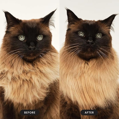Pet Teezer by Tangle Teezer Cat Brush, De-Shedding Cat Hair Brush for a Gentle, Soothing Groom & Short to Medium Length Fur, Millennial Pink