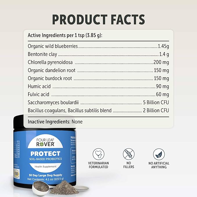 Four Leaf Rover Protect - Probiotics for Dogs - Veterinarian Formulated - with Natural Prebiotics and Antioxidants - Detoxification & Gut Health - 30 Day Large Dog Supply