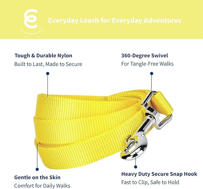 Blueberry Pet Essentials Blazing Yellow Dog Leash for Large - 4' * 1" Dogs | Heavy Duty Nylon Lead | Lightweight Puppy & Cat Leash for Walking & Training