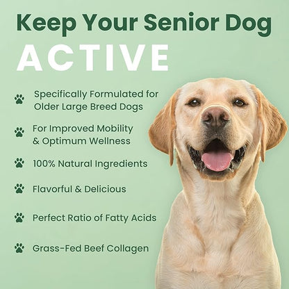 Veterinary Naturals Hemp & HIPS Joint Supplement for Dogs/Supports Relief from Hip and Joint Pain in Large, Aging Dogs (Regular, Beef & Bacon)
